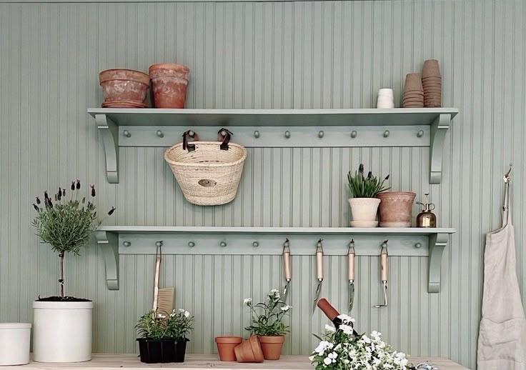 several potted plants are sitting on shelves in a room that has green walls and white trim