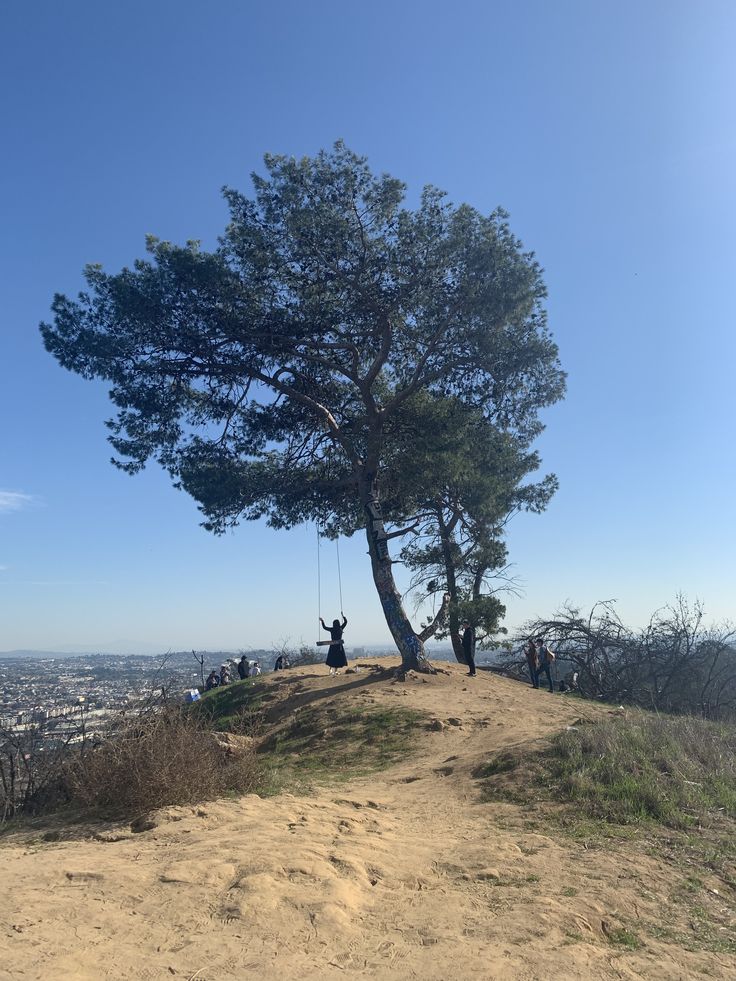 two people on a rope swing under a tree at the top of a hill overlooking a city