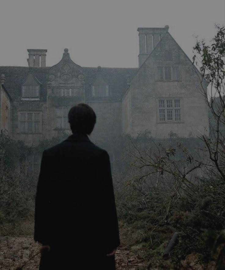 a person standing in front of an old building on a foggy day with trees and bushes