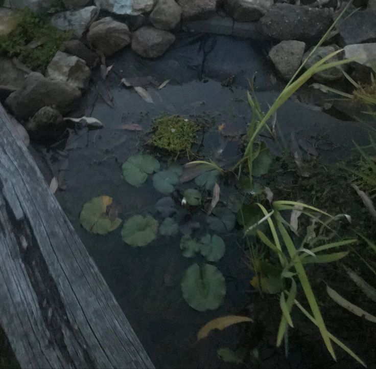 there is a small pond in the middle of some rocks and water lilies on the ground