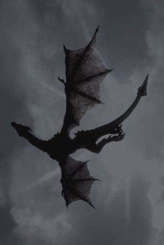 a black and white photo of a dragon flying in the sky