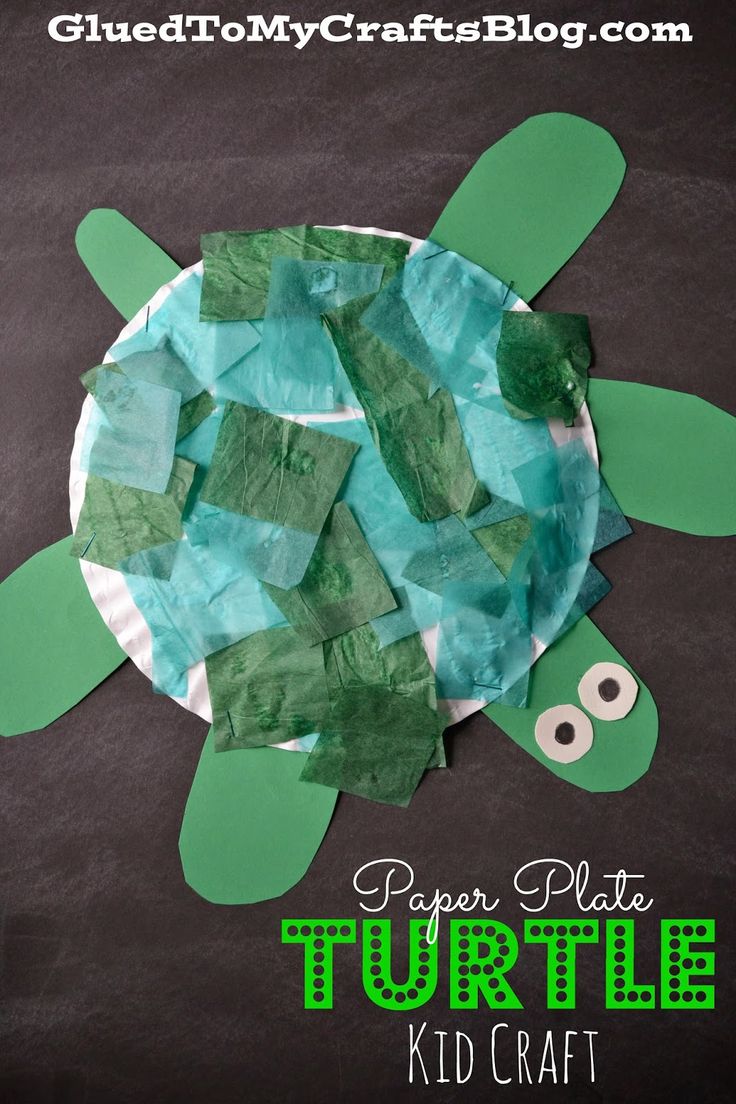 a paper plate turtle made out of construction paper