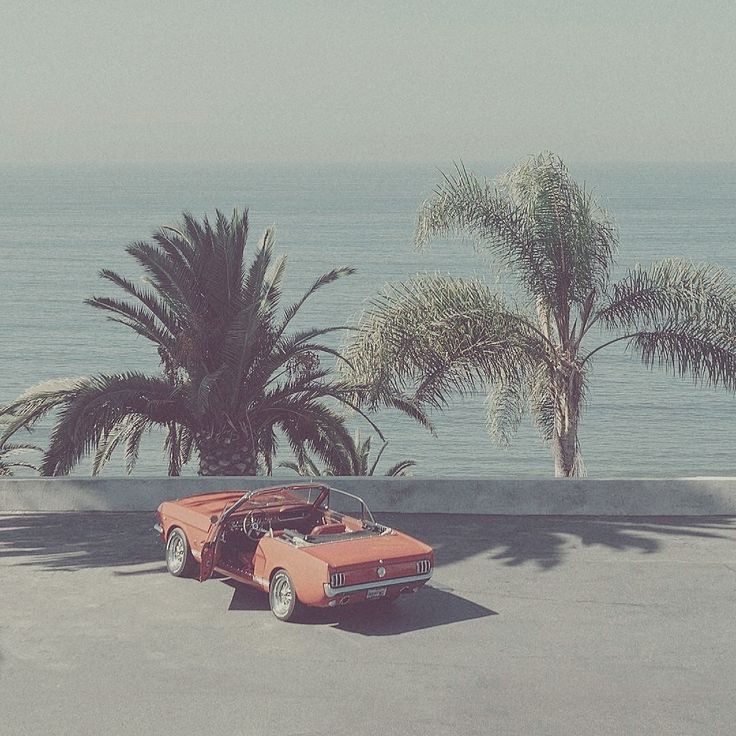 an orange car parked in front of palm trees and the ocean behind it, on a sunny day