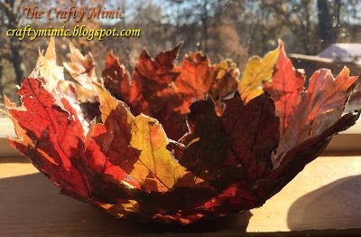 a bowl filled with leaves sitting on top of a wooden table next to a window