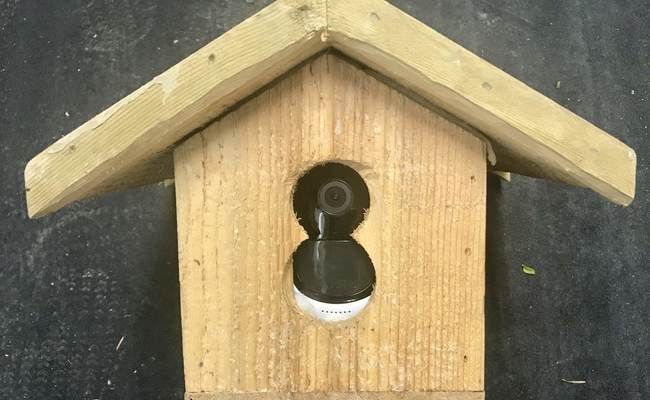 a wooden birdhouse with a camera attached to it's outside wall and roof