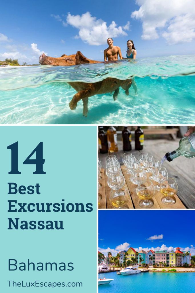 the best excursions in nassau, with pictures of people and their dog