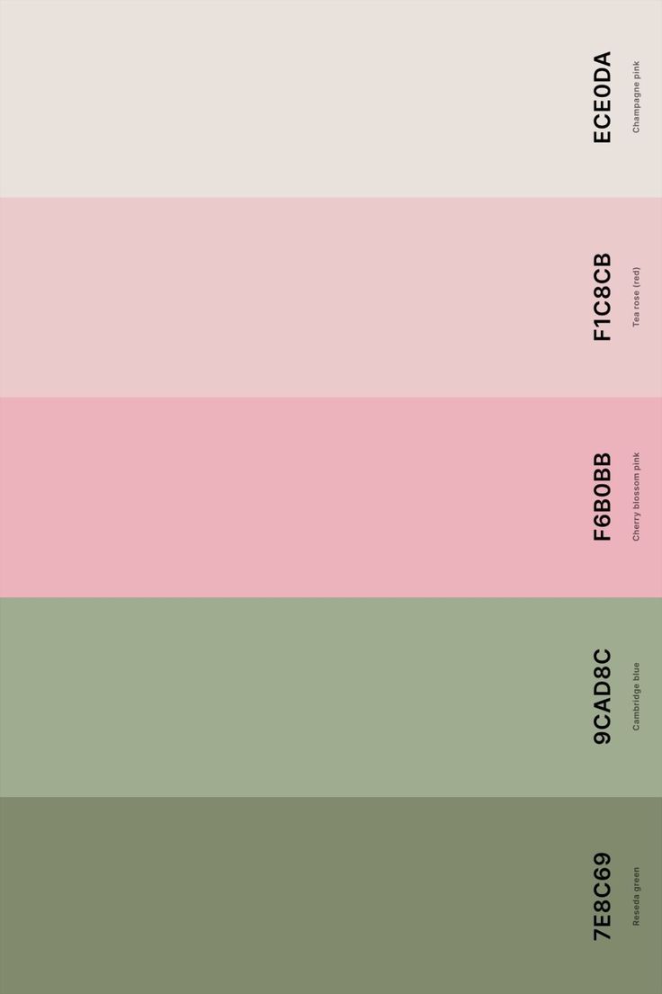 four shades of pink, green and beige with the words'color theory'in black