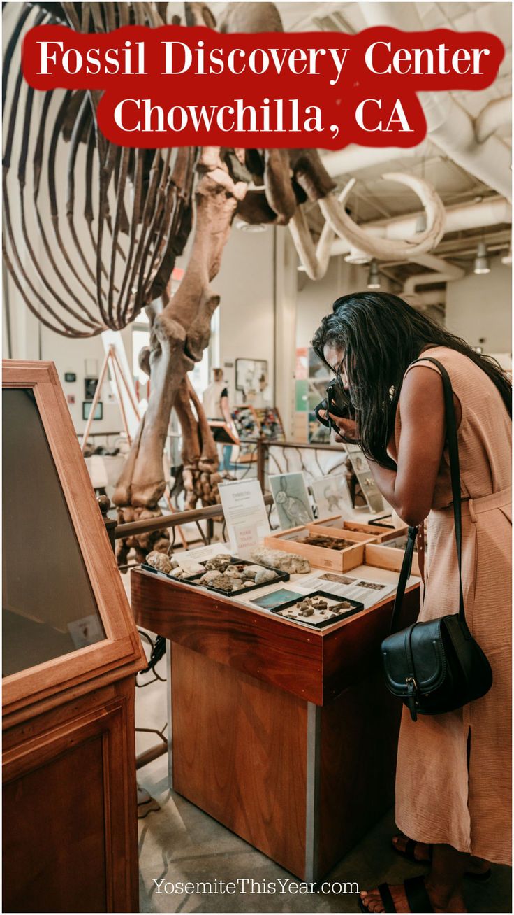 the fossil discovery center in chowcellla, ca is one of the best things to see