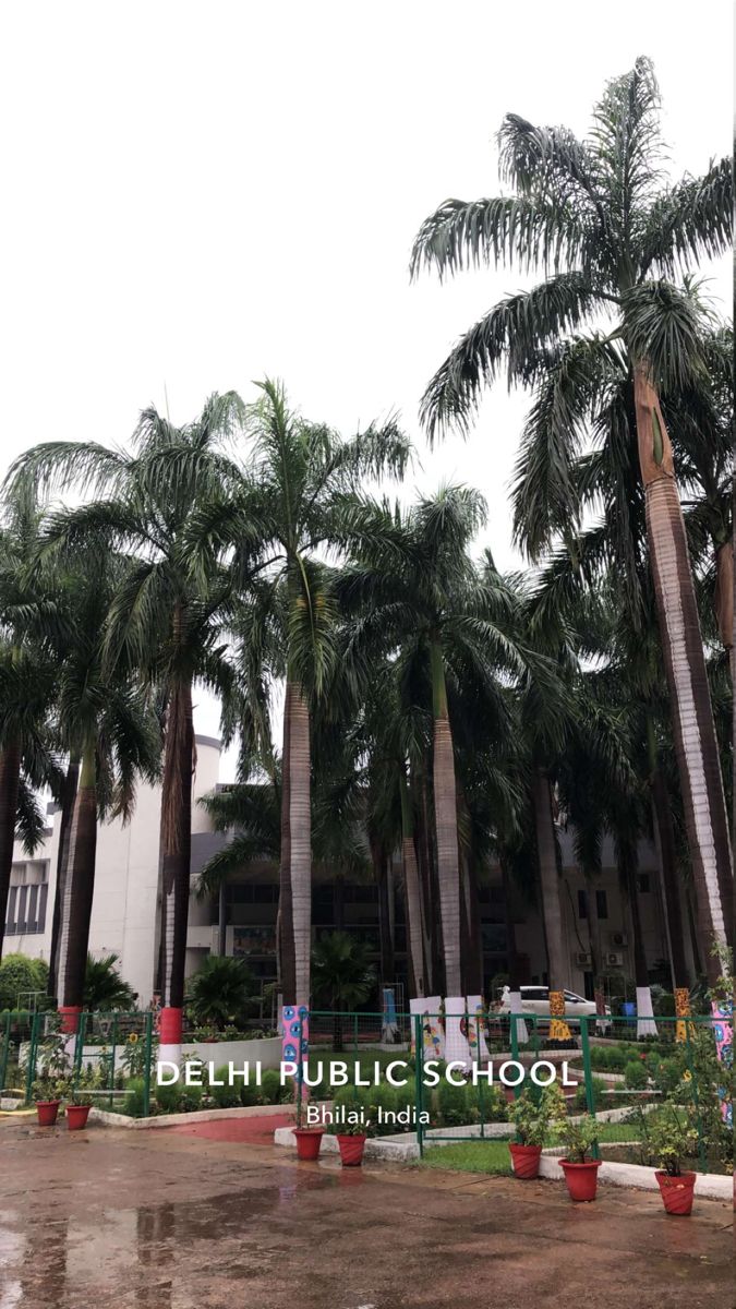 palm trees in front of a building with the words delhi public school written on it