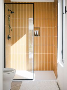 a white toilet sitting next to a walk in shower