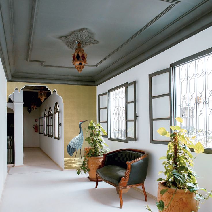 an empty room with chairs and potted plants