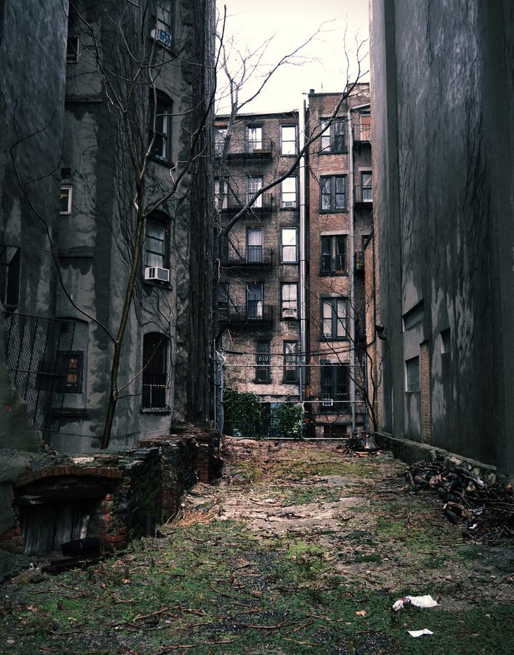 an alley way between two buildings with trees growing out of the building's windows