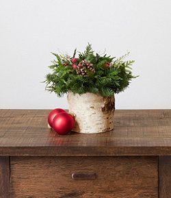 a potted plant sitting on top of a wooden table next to a red ornament