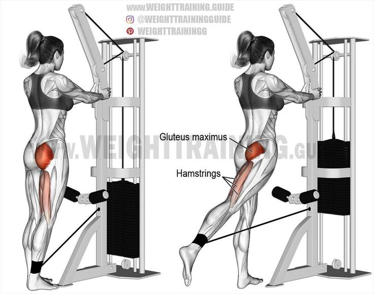 the back view of a woman doing squats on a pull - up machine with muscles highlighted