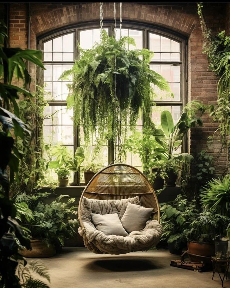 a room filled with lots of green plants and hanging chairs in front of a window