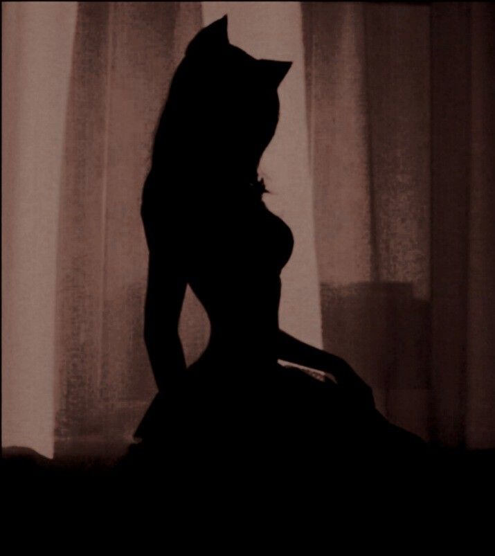 the silhouette of a woman in a dress with a cat on her back