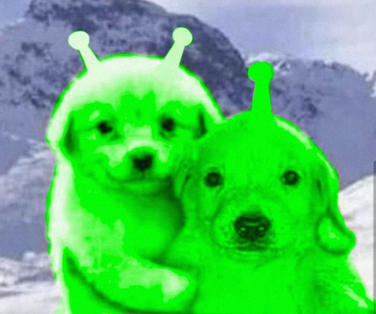 two green dogs sitting next to each other in front of a snow covered mountain range