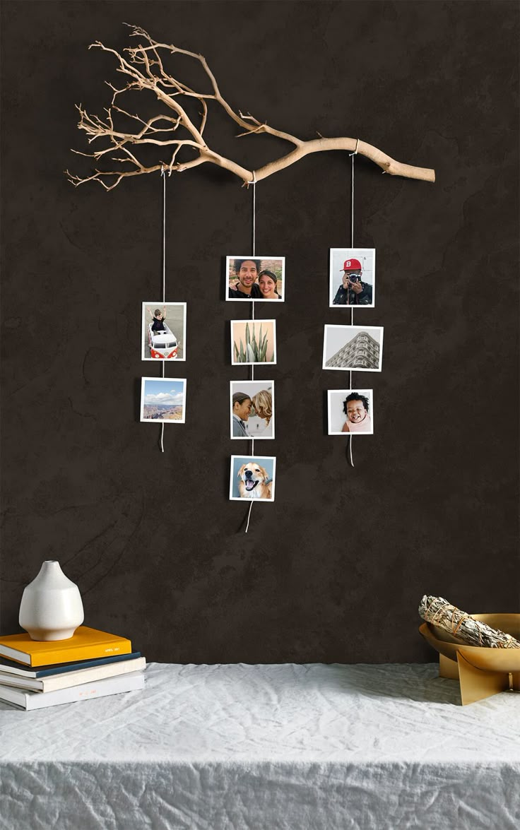 a tree branch hanging from the side of a wall with pictures hung on it's sides