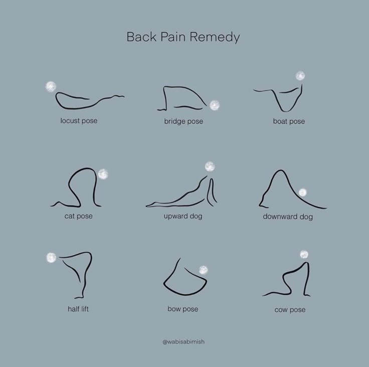 an image of the back pain and how to use it in your home or office