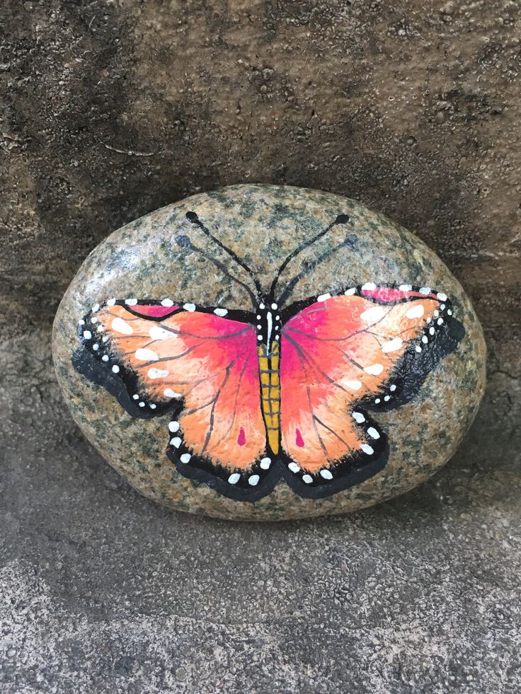 a painted rock with a butterfly on it