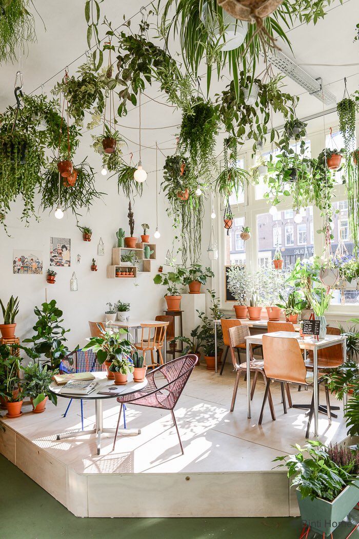 a room filled with lots of potted plants next to a table and some chairs