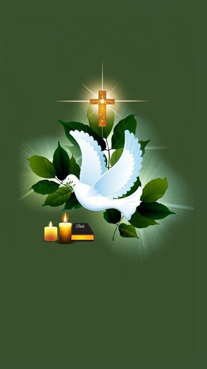 a white dove with green leaves and candles