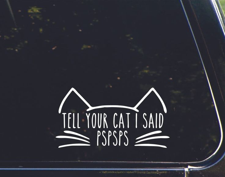 a sticker that says tell your cat i said pspps on the side of a car