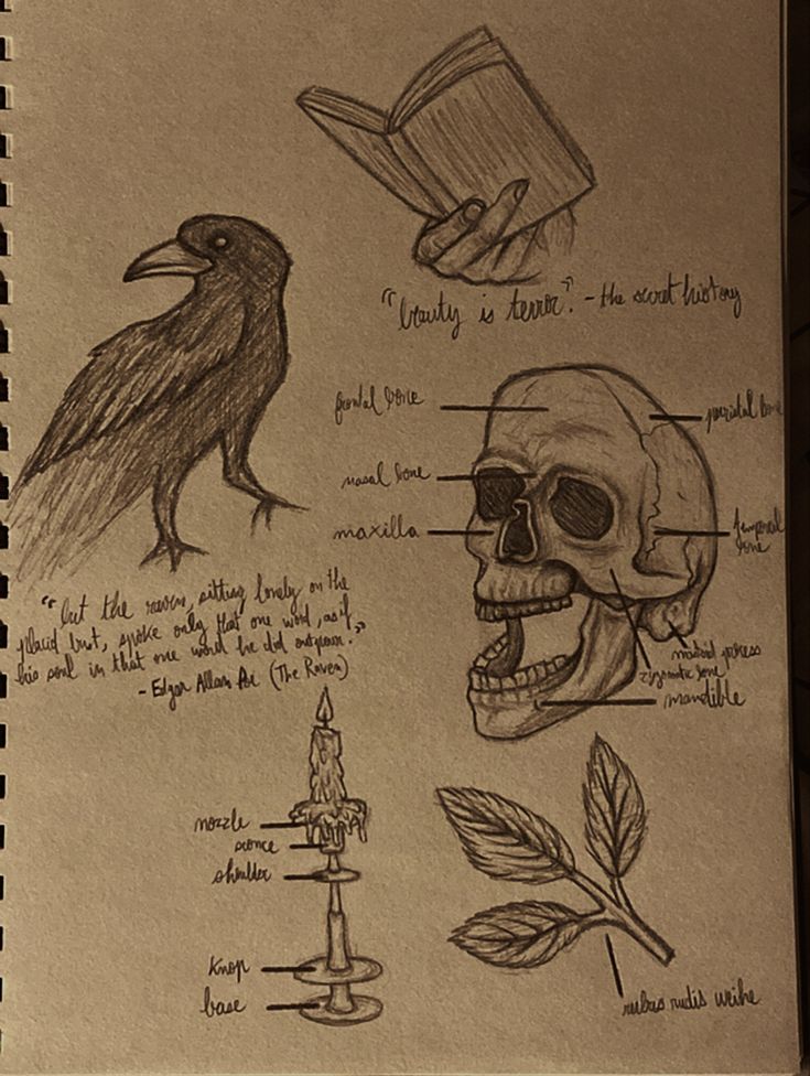 a notebook with some drawings on it and a bird sitting next to the book that is open