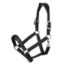 a black leather bridle with silver hardwares