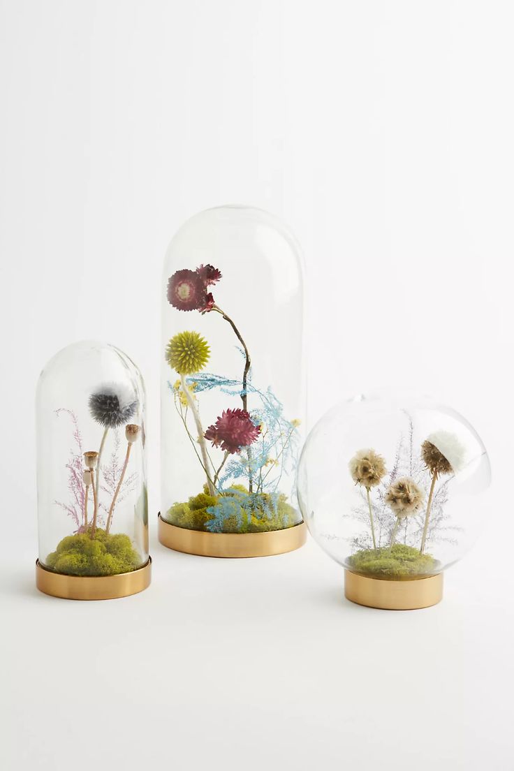 three glass domes with flowers in them on a white surface, one is filled with moss and the other has grass