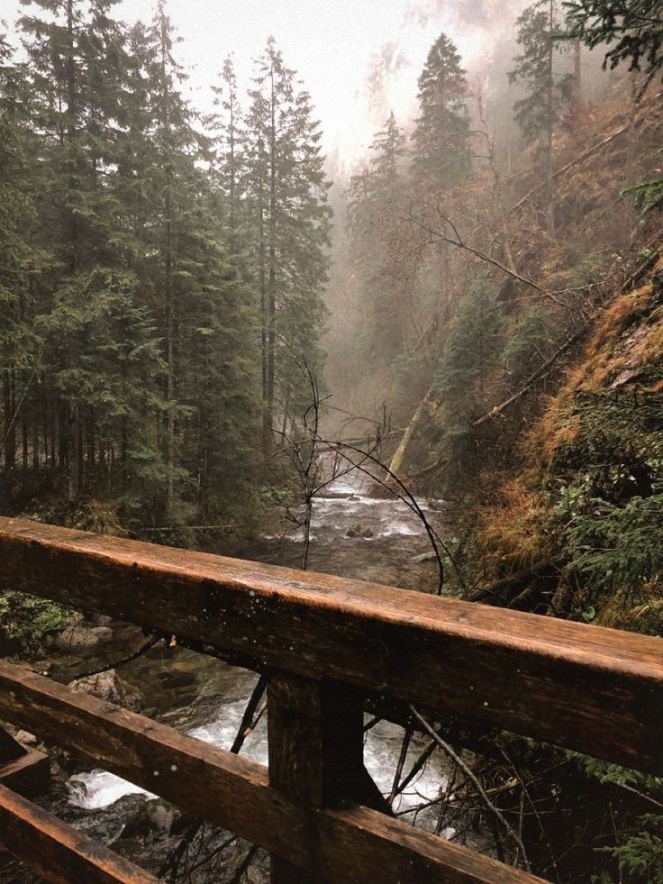 a wooden bridge over a river surrounded by trees