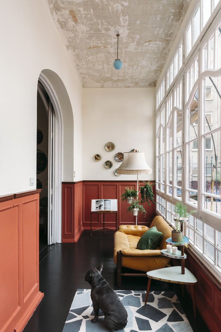 a dog sitting on the floor in front of a living room with lots of windows