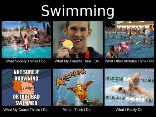 an image of swimming memes and pictures