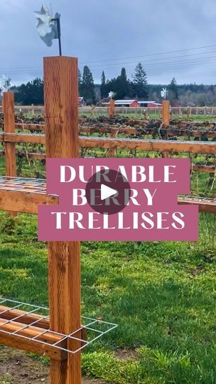 a wooden fence with a sign that says double berry trelliss in front of it