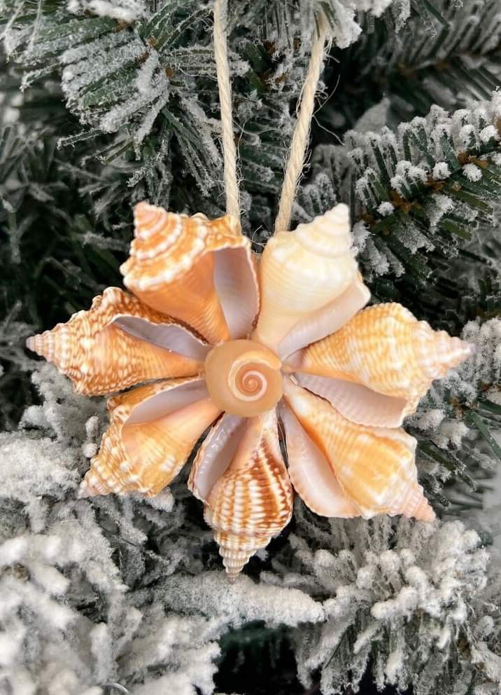 an ornament hanging from a tree covered in ice and snow, with seashells on it