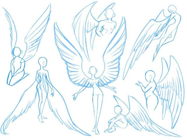 an image of some angel sketches