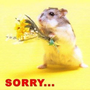 a hamster is holding a bunch of flowers in its mouth and looking at the camera