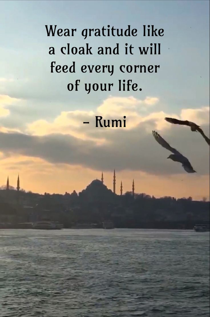 a bird flying over the water with a quote from rumi about wear gratitue like a cloak and it will feed every corner of your life