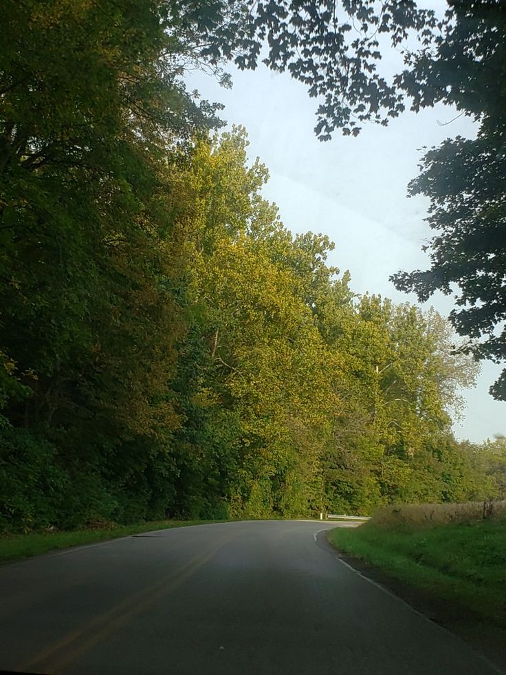 an empty road surrounded by trees and grass