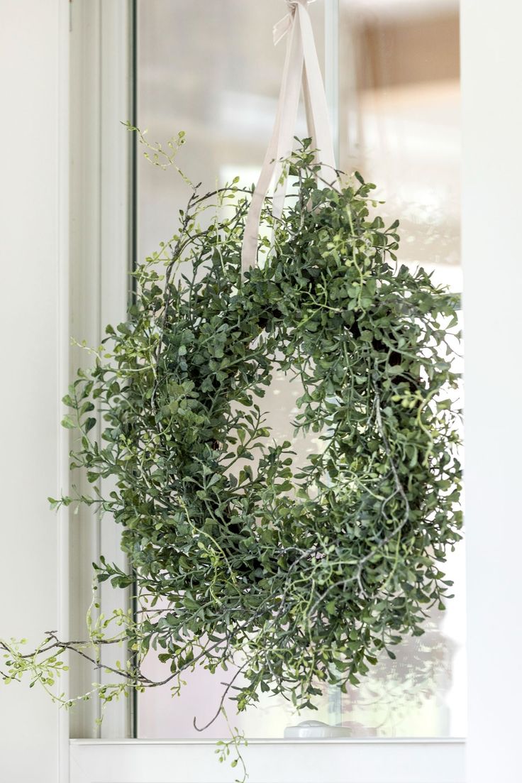 There are many uses for what we know as the traditional wreath. Perfect for your front door or used as a centerpiece in your tablescape. This piece would also look great hanging in your home's windows. Boxwood Wreaths Mini, Flat Window Wreaths, Indoor Wreaths For Windows, Boxwood Wreath With Ribbon On Mirror, Wreaths For Windows Inside Living Room, Prelit Window Wreaths, Wreaths On Interior Windows, Traditional Wreath, Boxwood Wreath