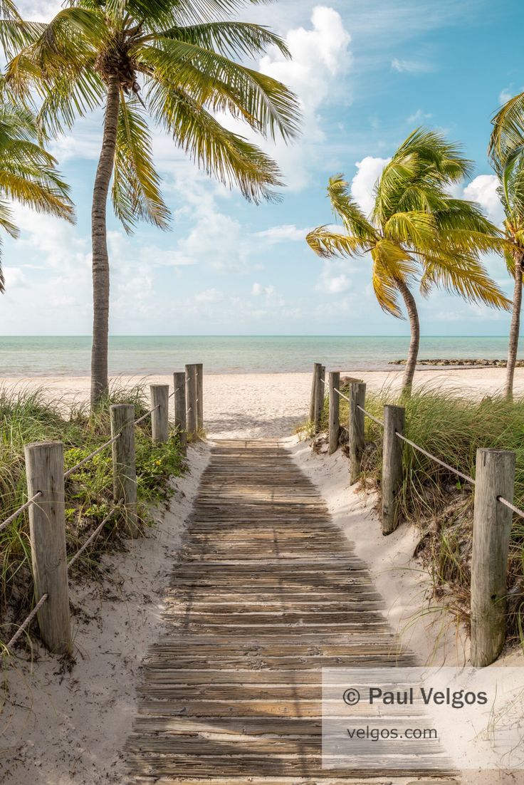 a wooden walkway leading to the beach with palm trees