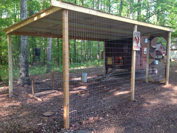 a chicken coop in the middle of a forest with lots of wood and wire around it