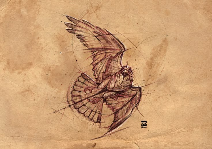 a drawing of a bird flying in the air