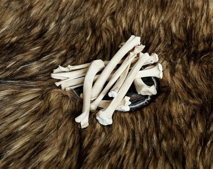 several bones are laying on a fur surface