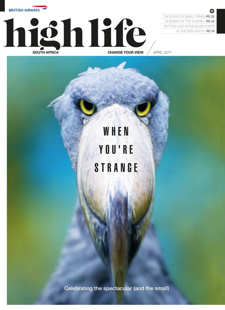 the front cover of highlife magazine with an image of a bird's face