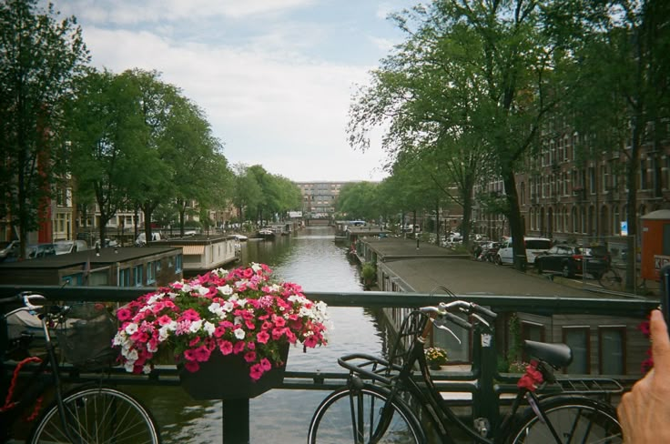 a person taking a photo of some flowers on a balcony overlooking a canal in the city