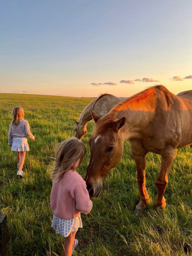 Aesthetic Dream Life, Horses Farm, Farming Family, Girl Outfit Ideas, Aesthetic Dream, Farm Land, Future Farms, Farm Lifestyle, Dream Life House