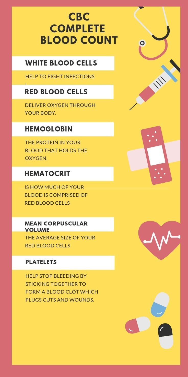 Hematology covers organs and parts that are liable for the creation of blood in your body. Education Doctorate, Phlebotomy Study, Medical Terminology Study, Medical Assistant Student, Nurse Study Notes, Nursing Student Tips, Nursing Mnemonics, Medical Student Study, Pharmacology Nursing