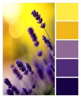 the color scheme is lavender and yellow