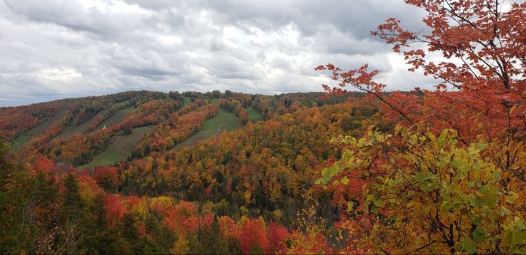 an autumn scene in the mountains with colorful trees